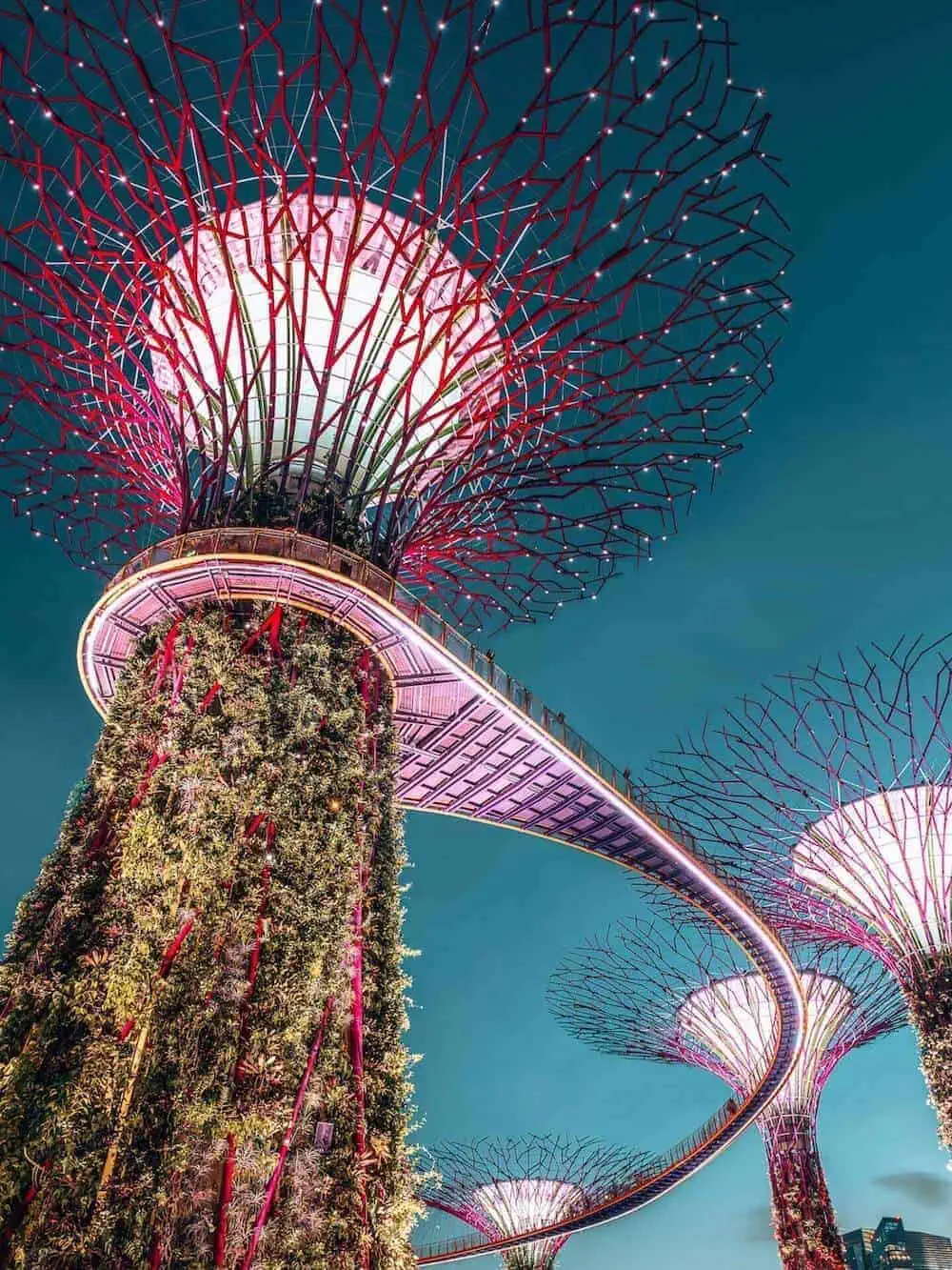 Looking up at a Supertree in Gardens By The Bay, Singapore, that's lit up at night