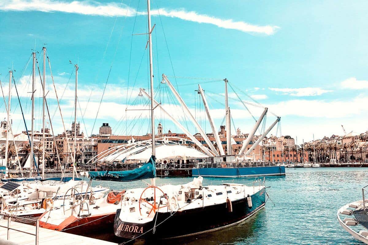 Several boats docked in a marina