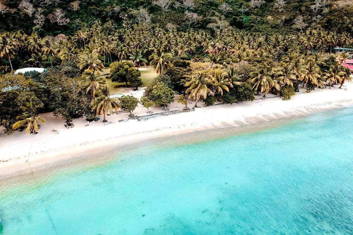 A drone view of a palm covered tropical island and clear blue sea