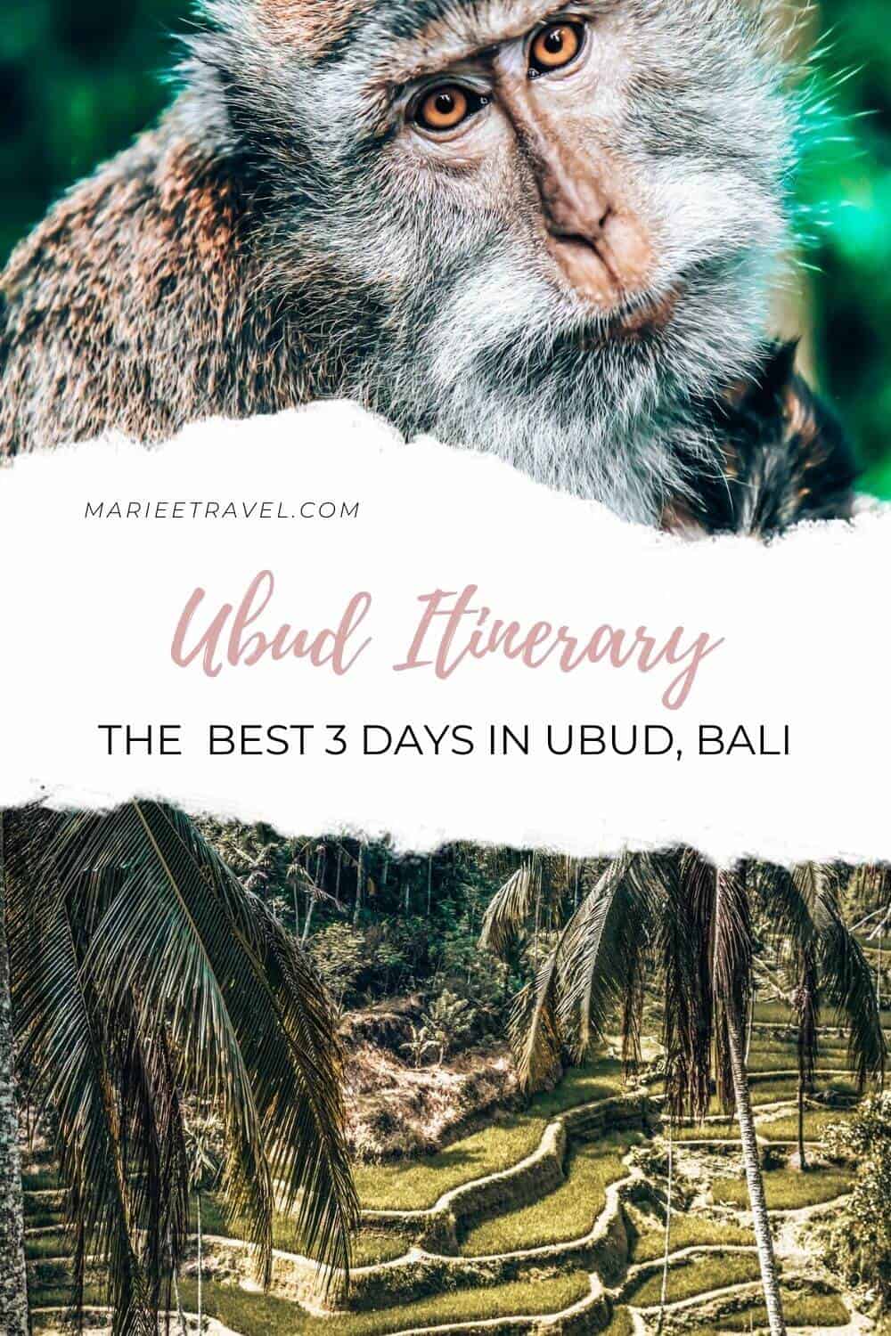 Ubud Itinerary: The Best 3 Days in Ubud, Bali | Pinterest Pin