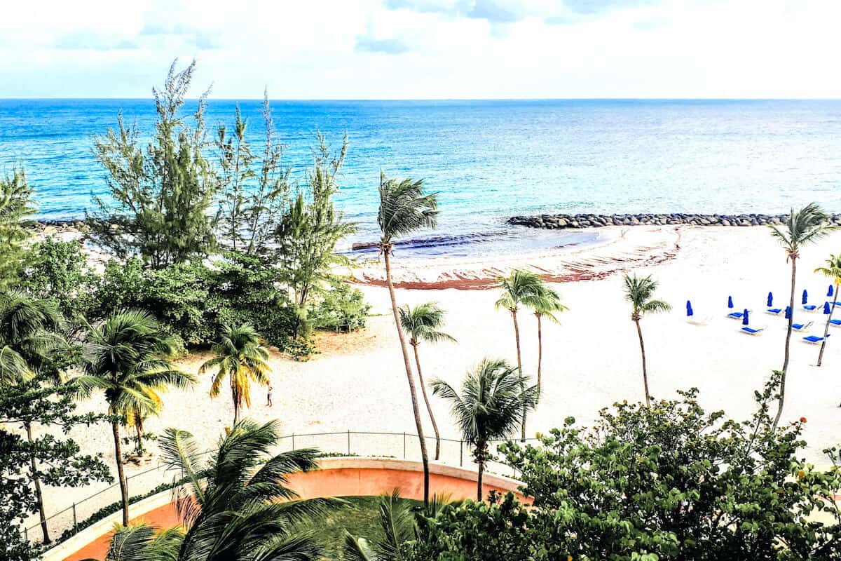 An empty white-sand beach with palm trees, greenery and calm sea on a sunny day in Barbados