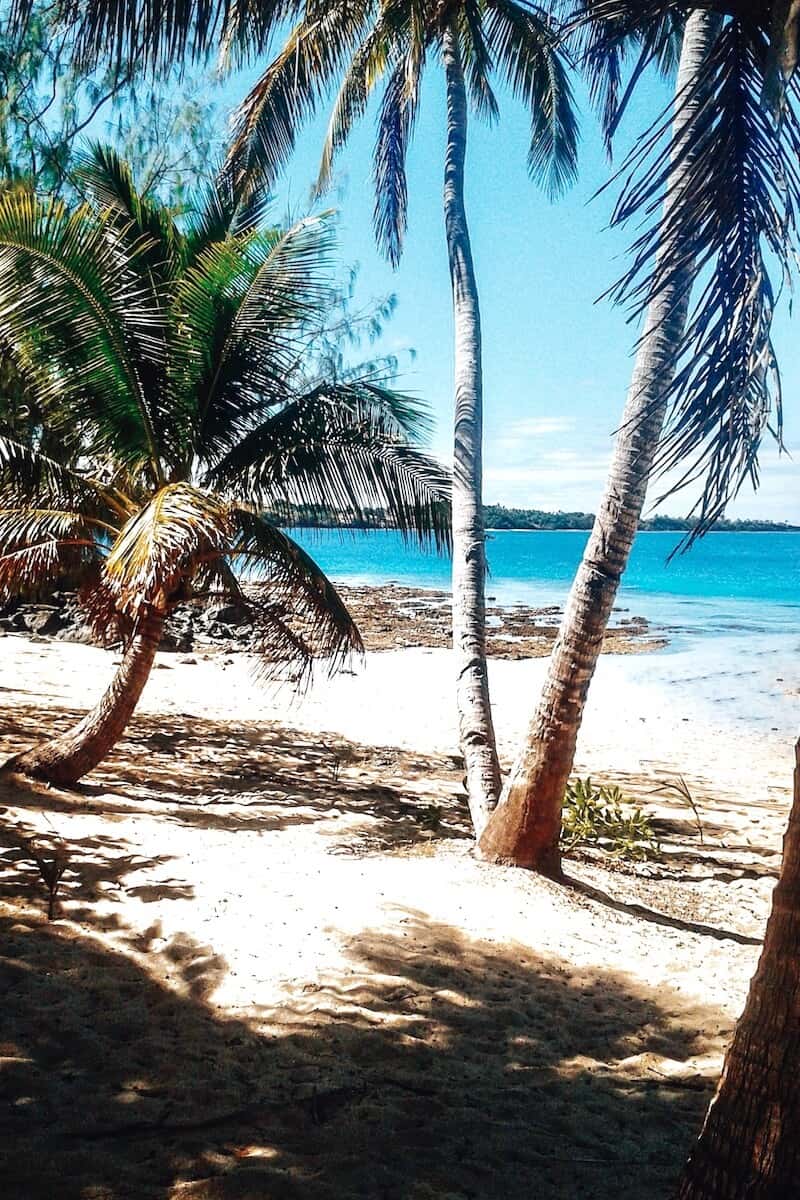 Palm trees on a white sand beach in Fiji