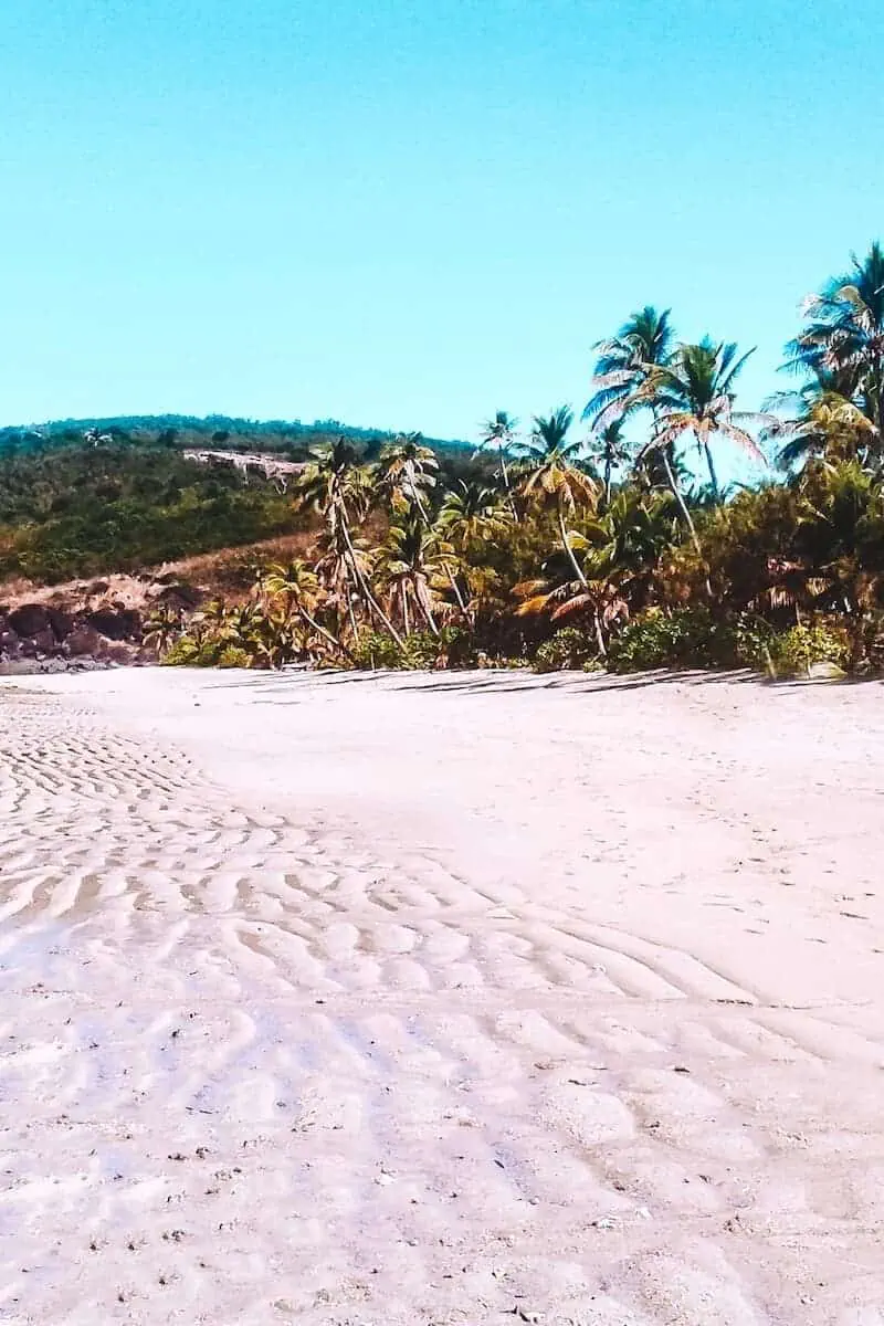 A deserted, tropical white-sand beach, fringed with palm trees