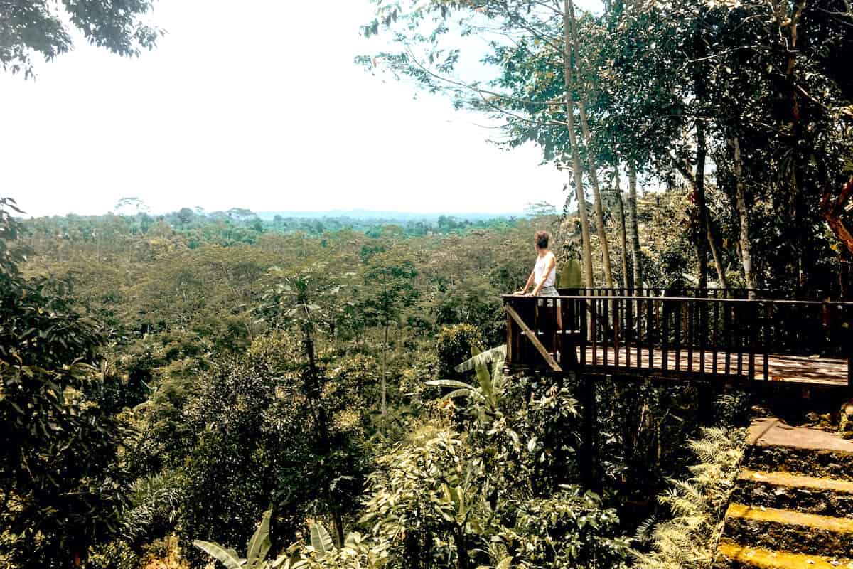 Hannah standing on a platform overlooking dense jungle in Bali during a coffee plantation tour
