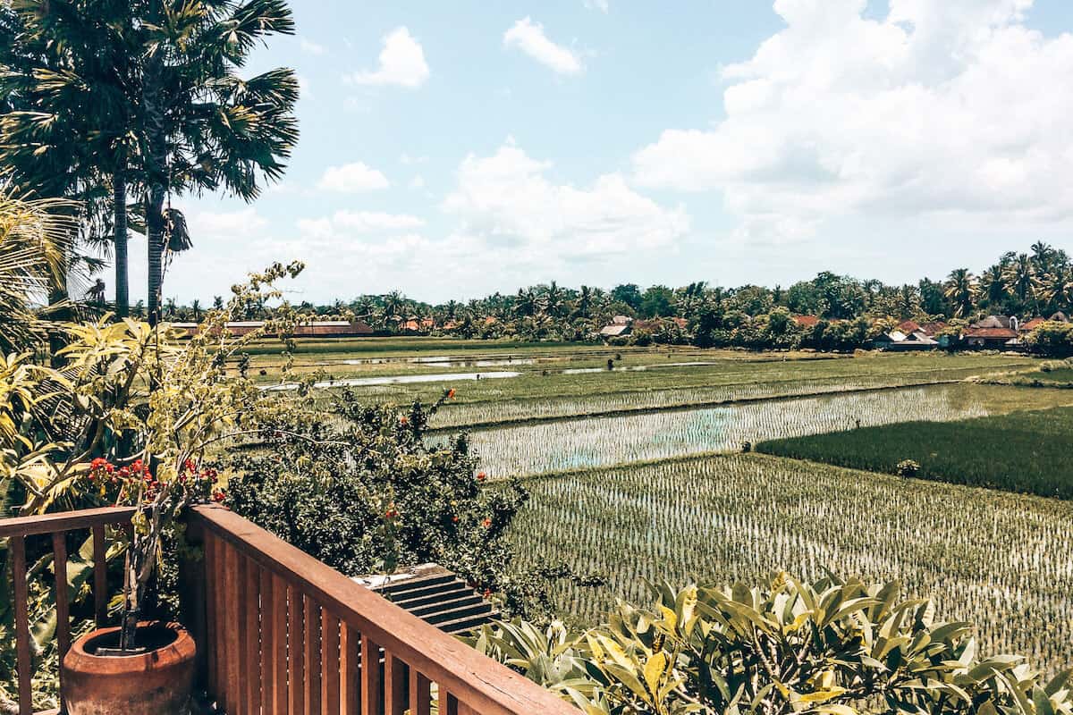 A view across green fields and rice paddies in Bali