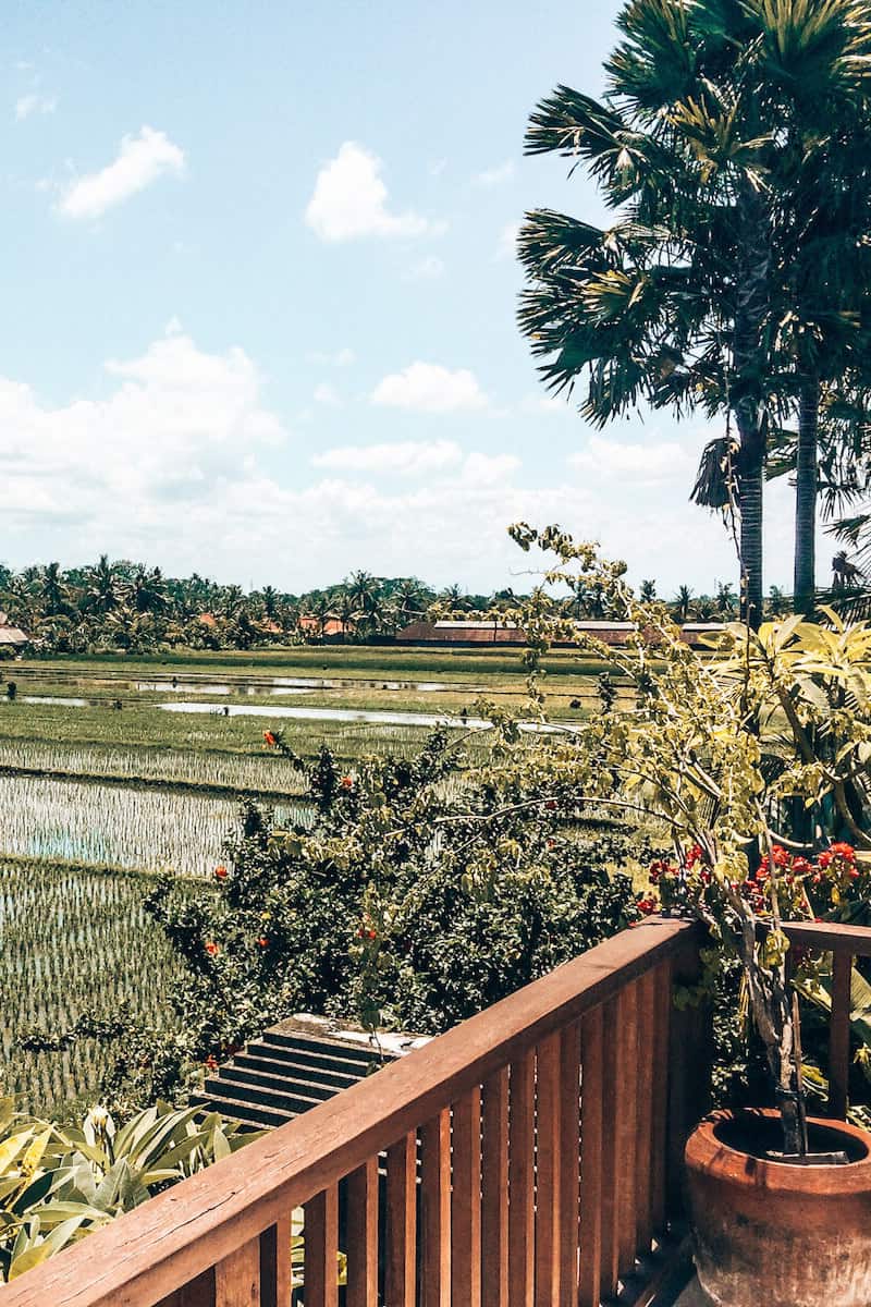 A view across rice fields from a villa balcony in Bali