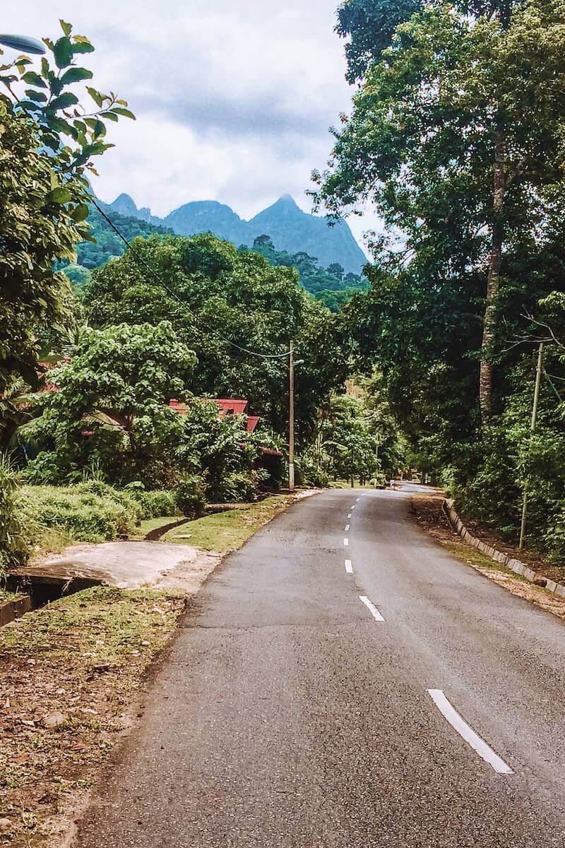 A deserted road on a tropical island with jungle either side and a mountain in the distance