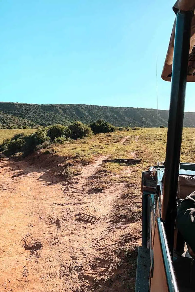 A view looking out from a safari vehicle across an expanse of green land within a game reserve in South Africa