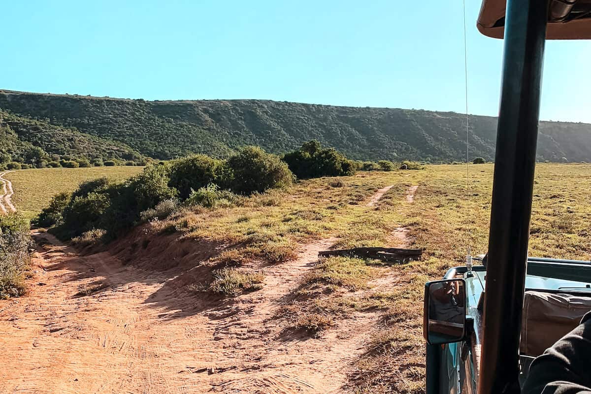 A view looking out from a safari jeep across a game reserve in South Africa