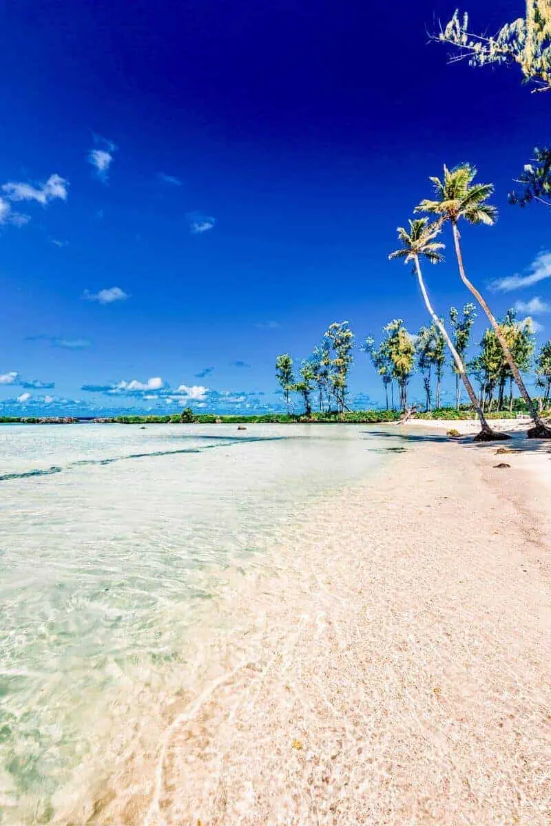 A pristine tropical beach with shallow waters and swaying palms