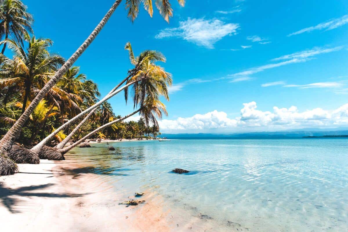 A pristine, empty beach fringed with palm trees and clear waters in Costa Rica