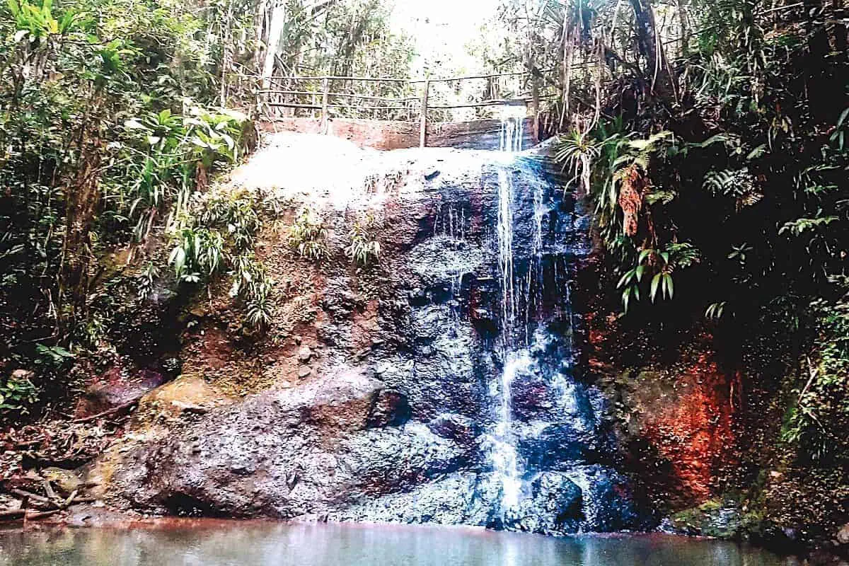 A waterfall and natural pool in a tropical nature reserve in Fiji