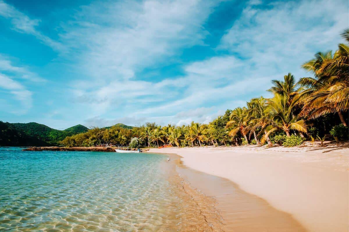 A sweeping stretch of golden tropical beach, fringed by palm trees in Fiji