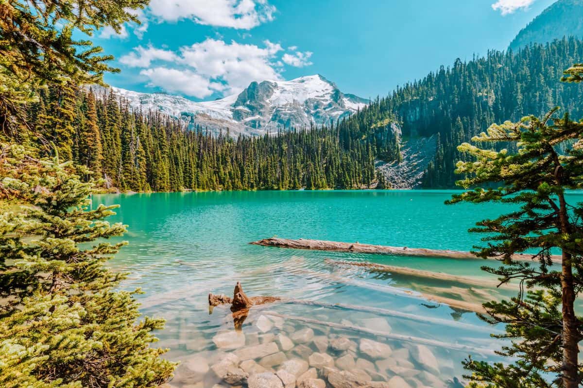 A calm, turquoise lake in British Columbia Canada surrounded by forest pines and mountains
