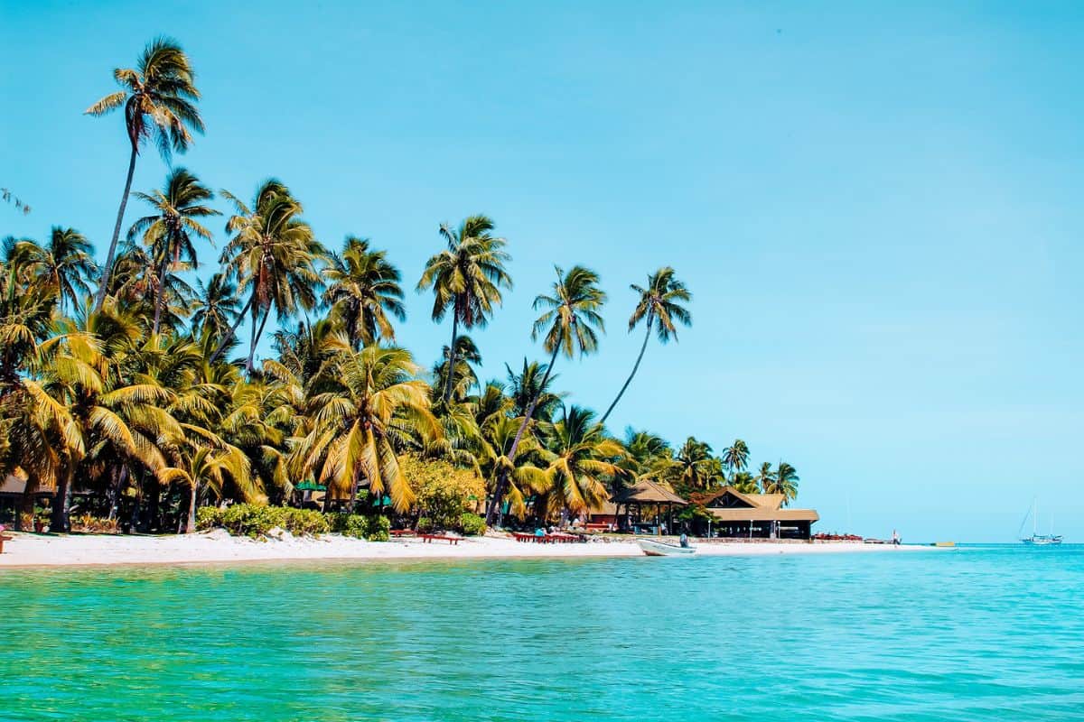 A lush, palm-fringed beach that's part of a resort on a tropical island in Fiji