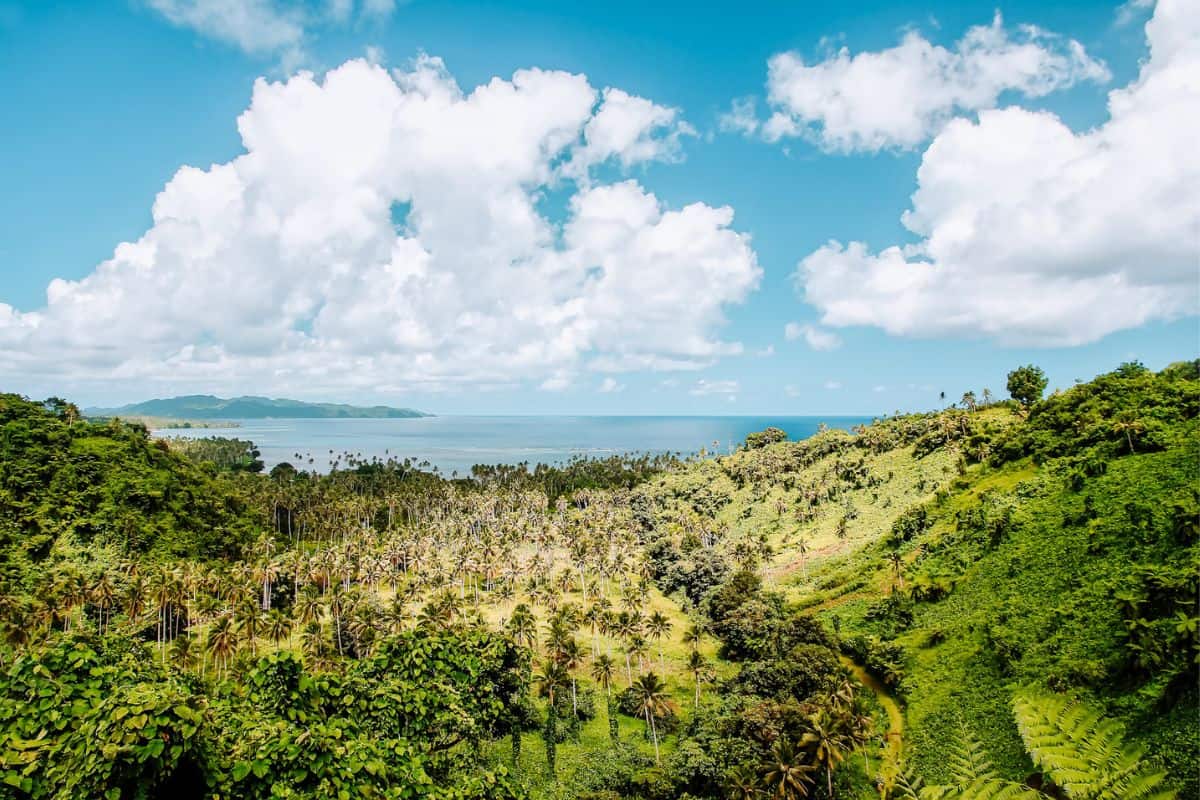 A view across palm trees and greenery towards the sea from Bouma National Park in Taveuni, Fiji