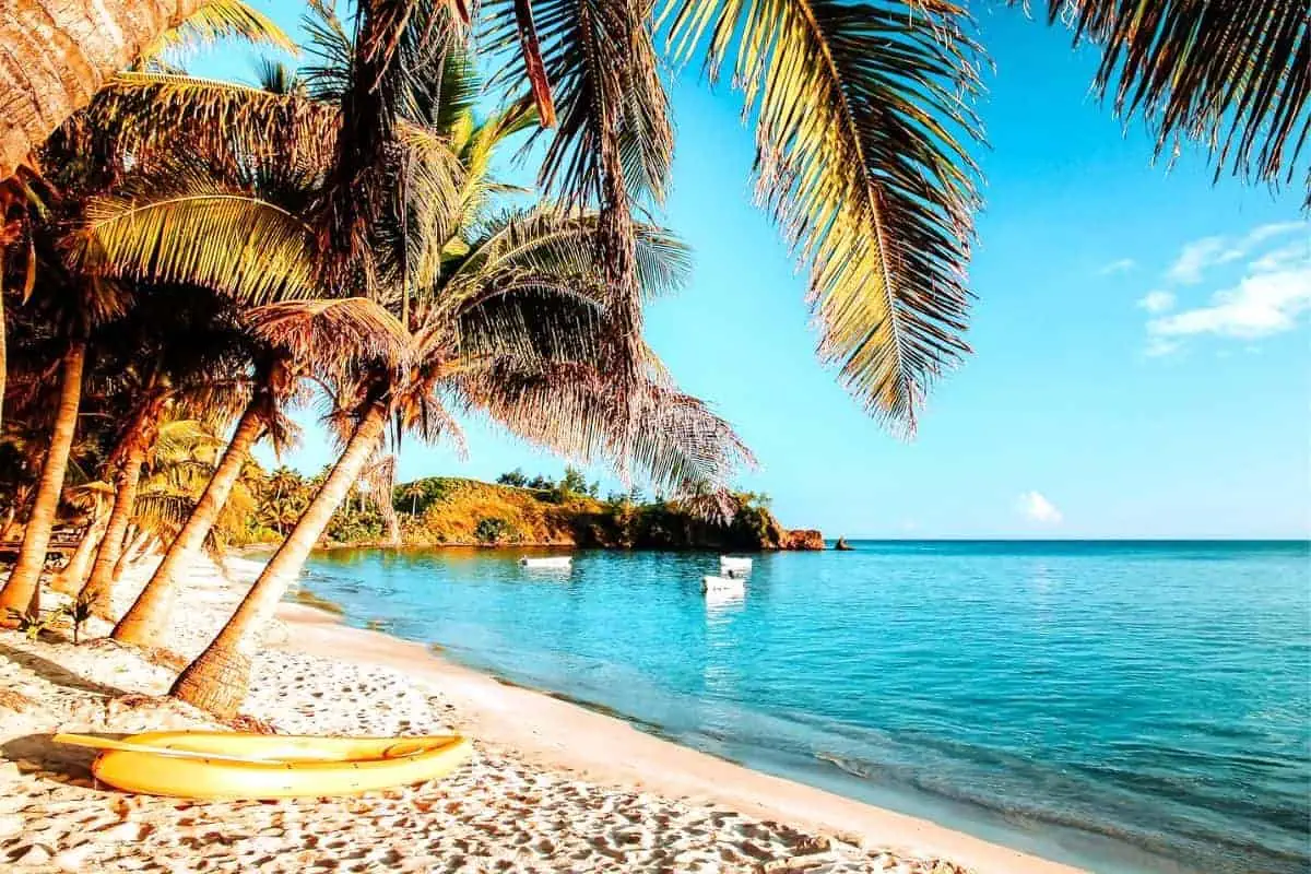 An empty tropical beach in Fiji with yellow kayaks on the sand beneath palm trees