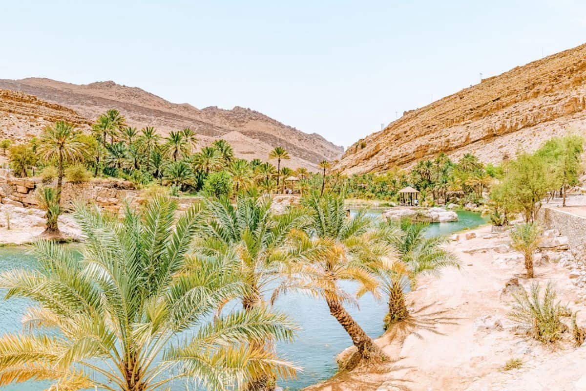 A desert pool in Oman surrounded by palm trees