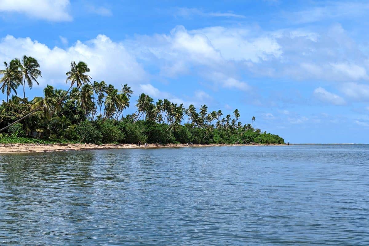 A view towards a tropical island with palm trees in Fiji