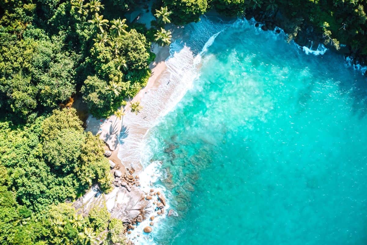 An aerial view of an empty, secluded tropical beach in the Seychelles
