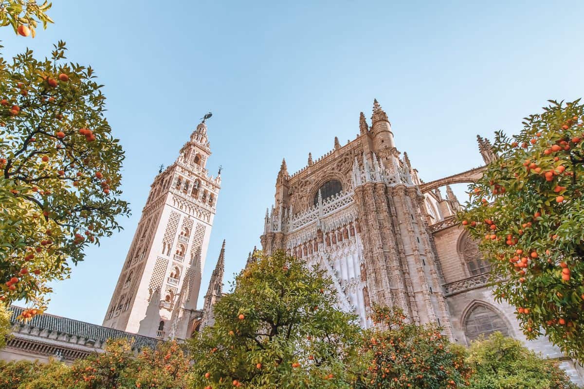 A traditional, large cathedral in Seville surrounded by orange trees