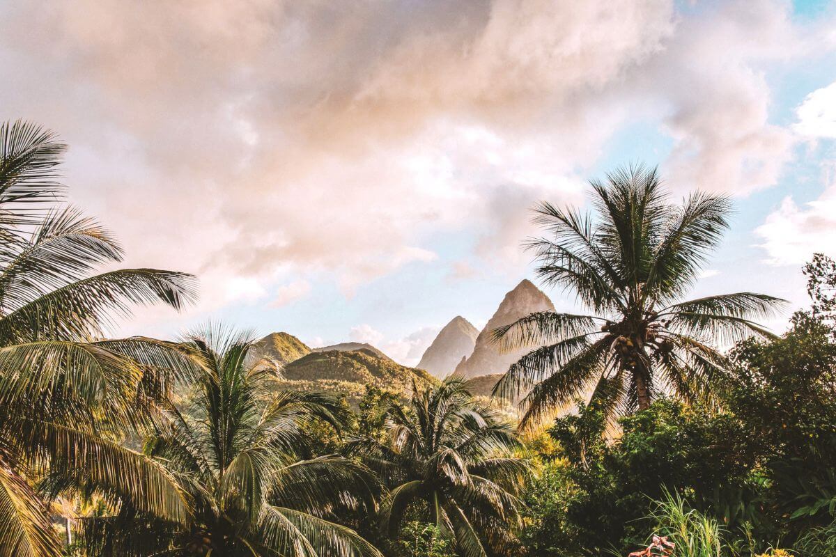 A view across palm trees and lush jungle looking towards two volcanic mountain peaks in St Lucia