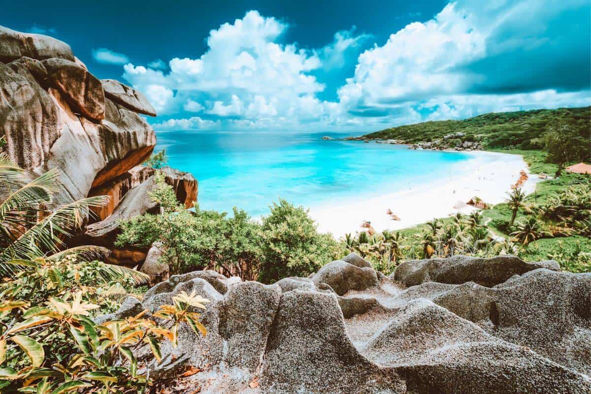 A view looking across a brilliant white sandy beach fringed with lush palm trees and greenery
