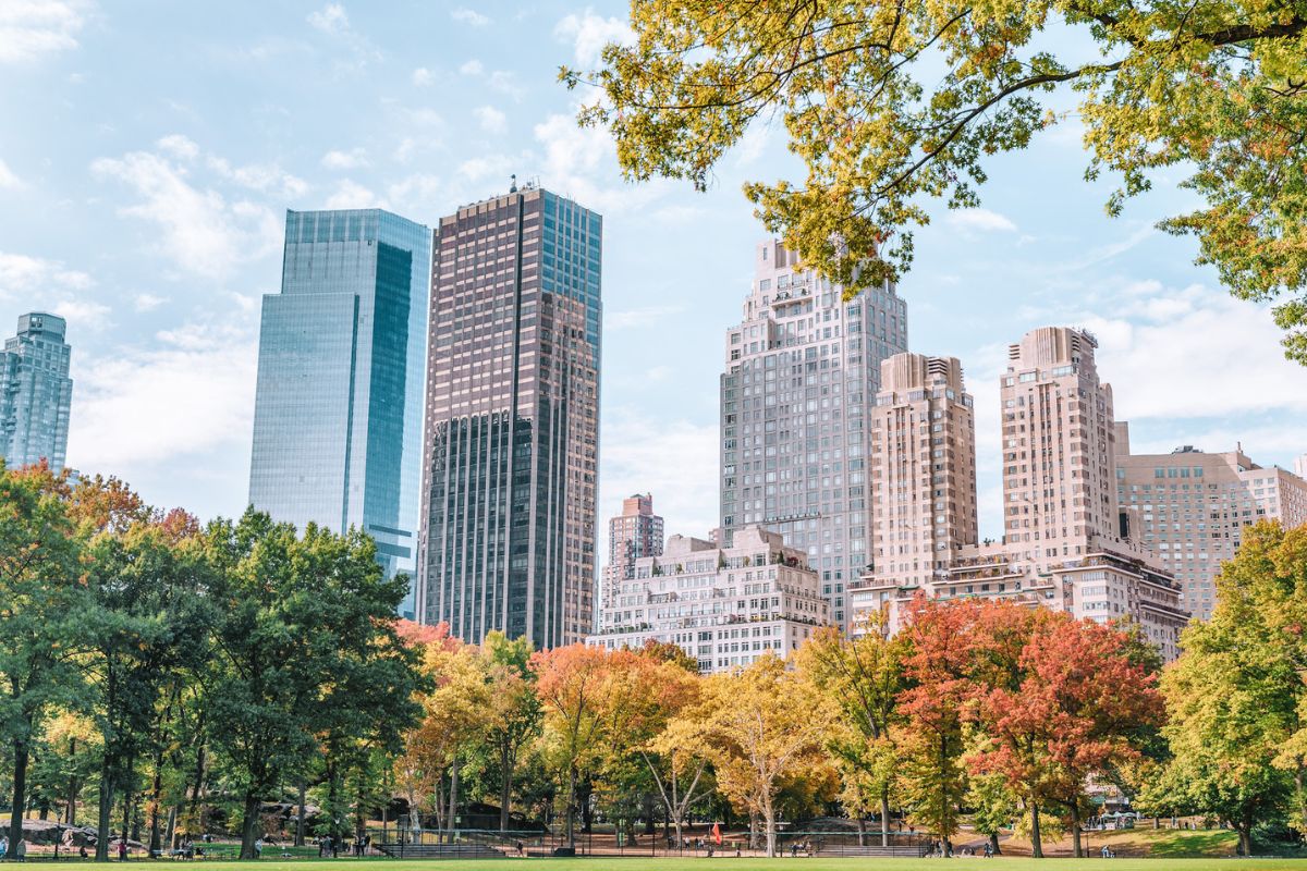 A view towards modern skyscrapers in New York City surrounded by autumnal trees and greenery