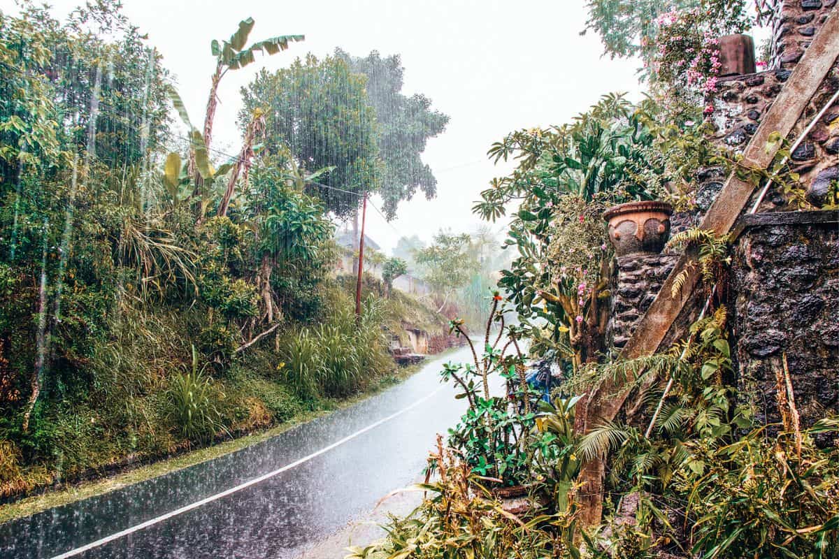 A road in Ubud, Bali during a rainstorm