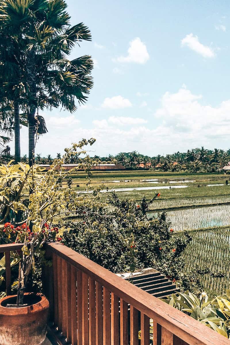 A view across rice fields from a villa balcony in Bali