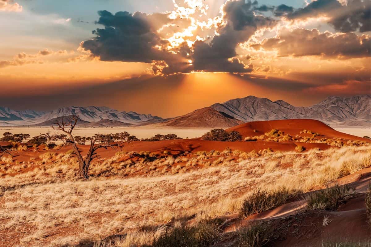 A red desert and sand dunes in Namibia