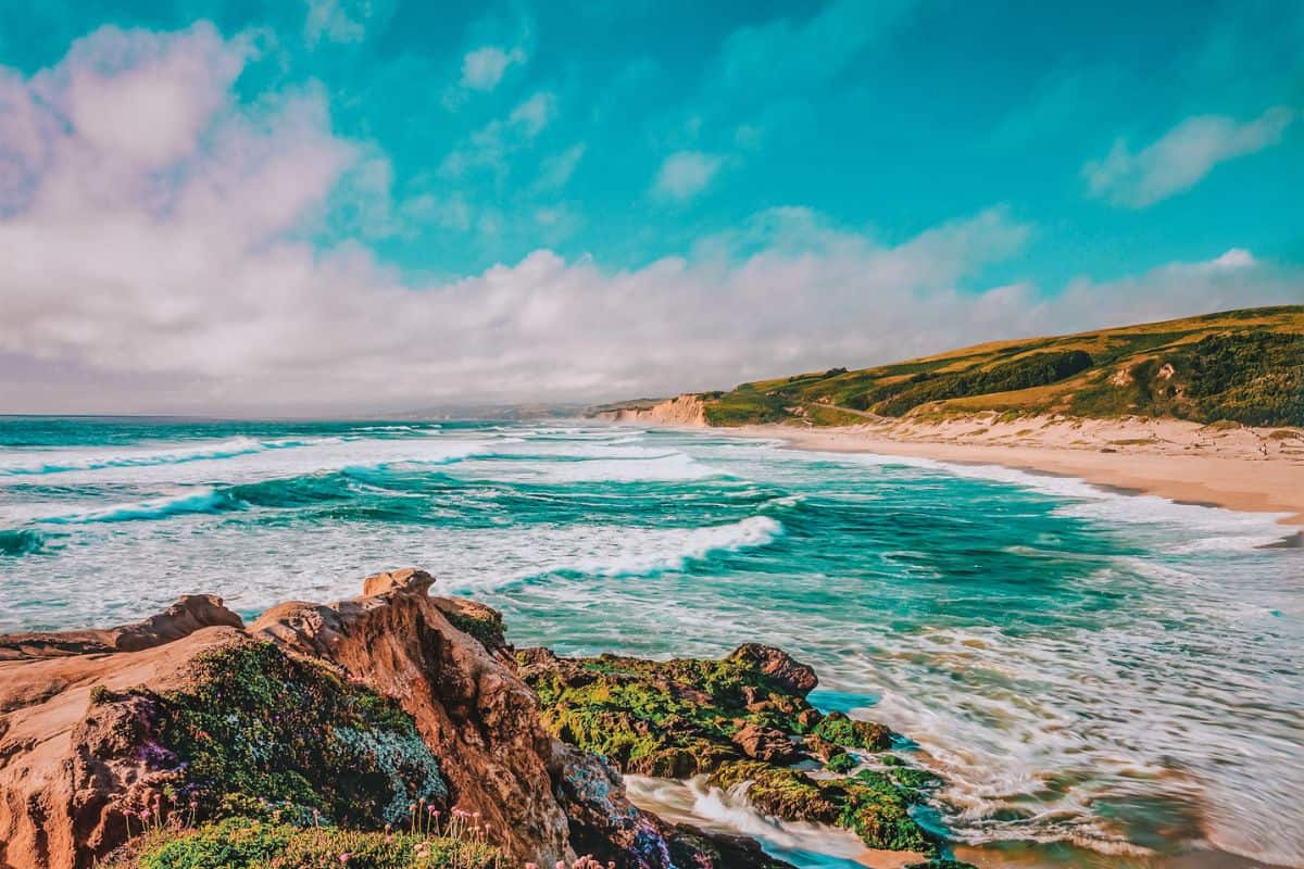 A golden beach and coastline in California, USA