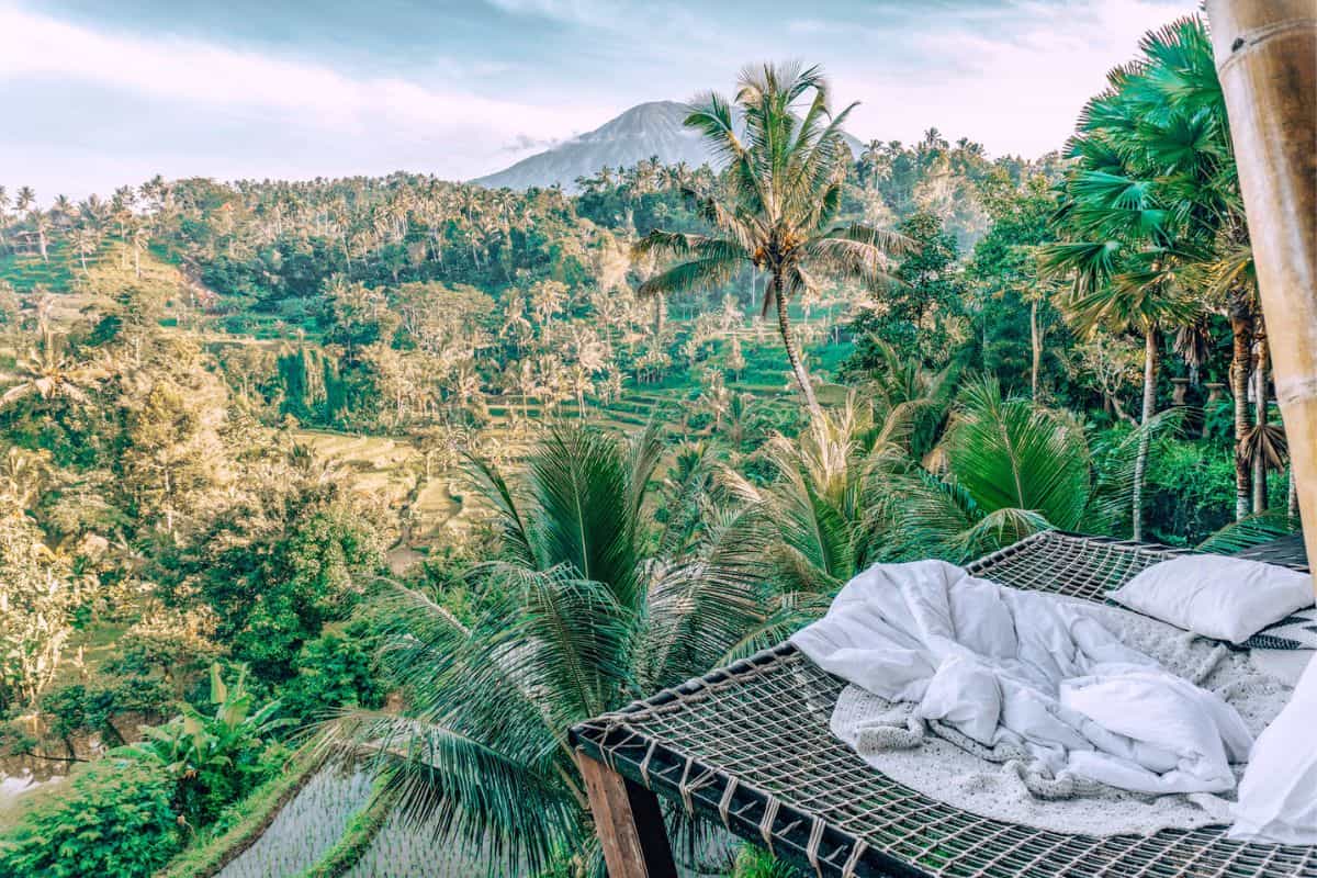 A hanging outdoor net bed at a bamboo villa in Bali overlooking jungle and rice terraces