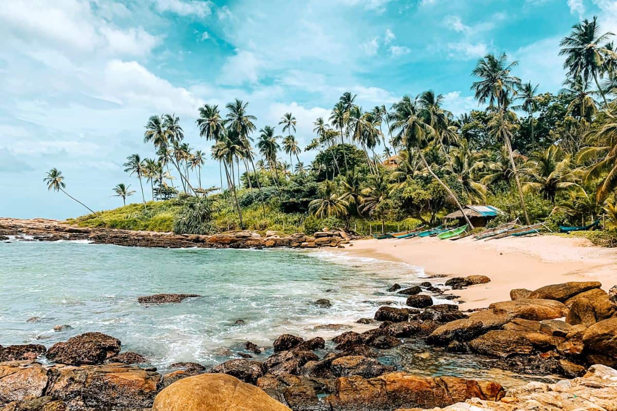 A deserted golden sand beach fringed with palm trees in Sri Lanka