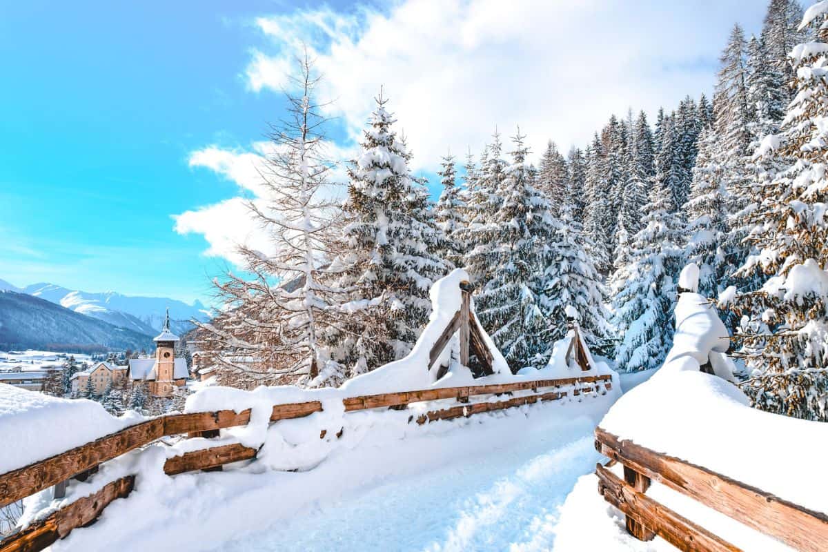 Heavy snow and pine trees at an alpine village in Switzerland