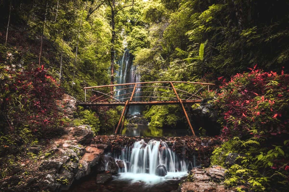 A bamboo bridge crossing in front of a waterfall (Labuhan Kebo) in Munduk, Bali, surrounded by forest scenery