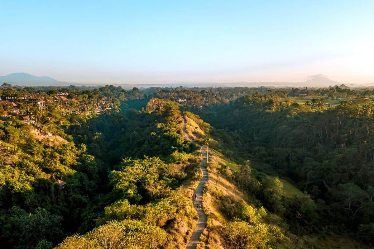 An aerial view of a footpath winding among dense natural scenery in Ubud, Bali