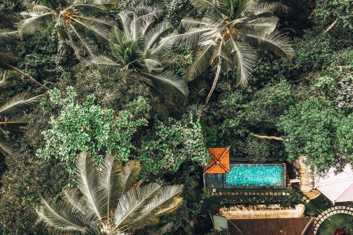 An aerial view of a villa with a private pool in the middle of dense green jungle scenery