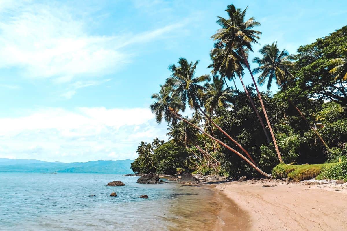 An empty, tropical beach with palm trees in Vanua Levu, Fiji