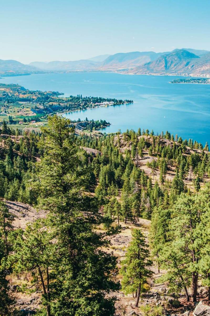 View from a pine-covered mountain towards a lake in British Columbia, Canada