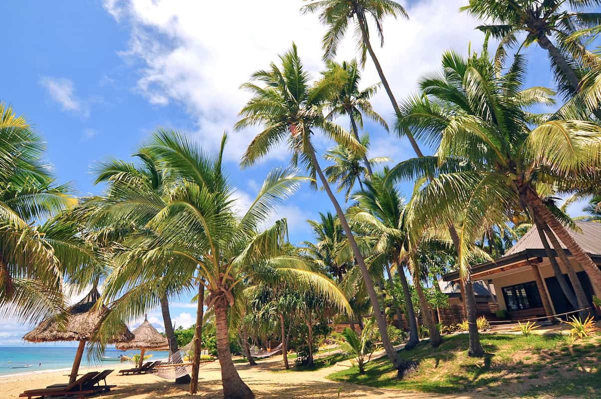 Palm trees on the beach at a tropical island resort in Fiji