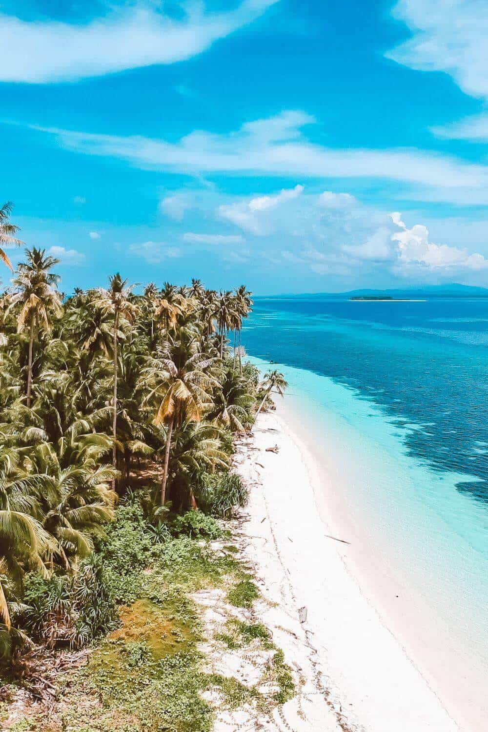 A pristine white sand coastline fringed with palm trees in the Philippines