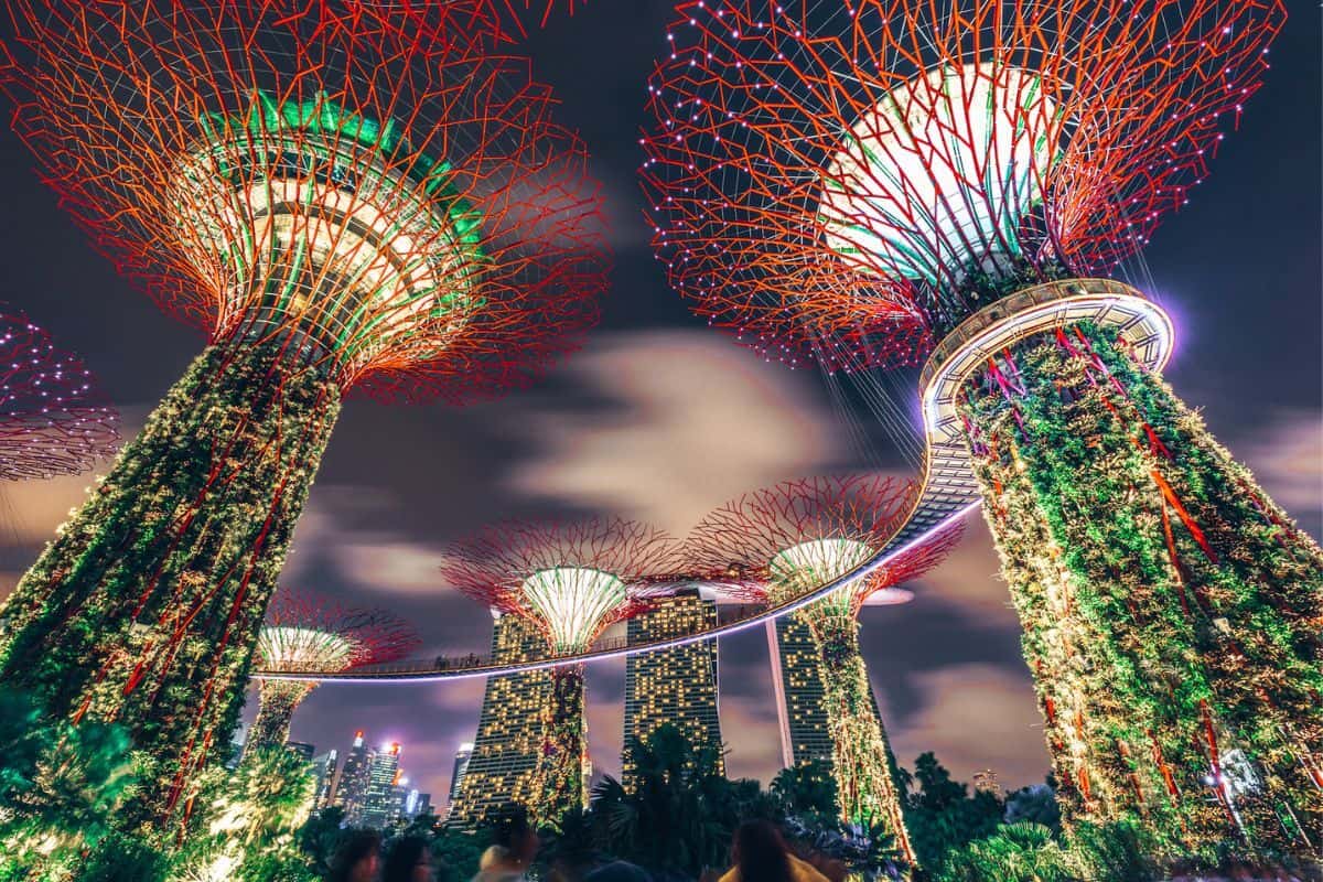 Singapore's Supertrees lit up against the night sky