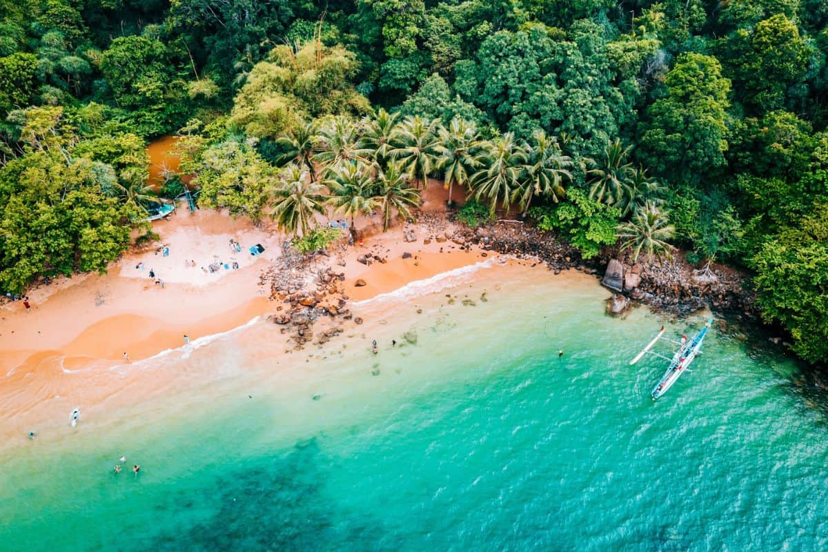 An aerial view of a golden, palm-fringed beach in Sri Lanka