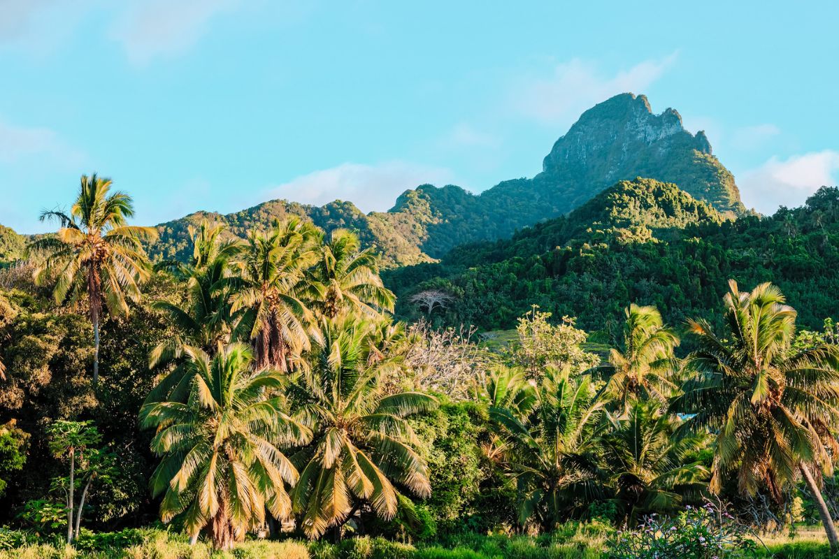 Palm trees and towering mountains in a stunning tropical landscape