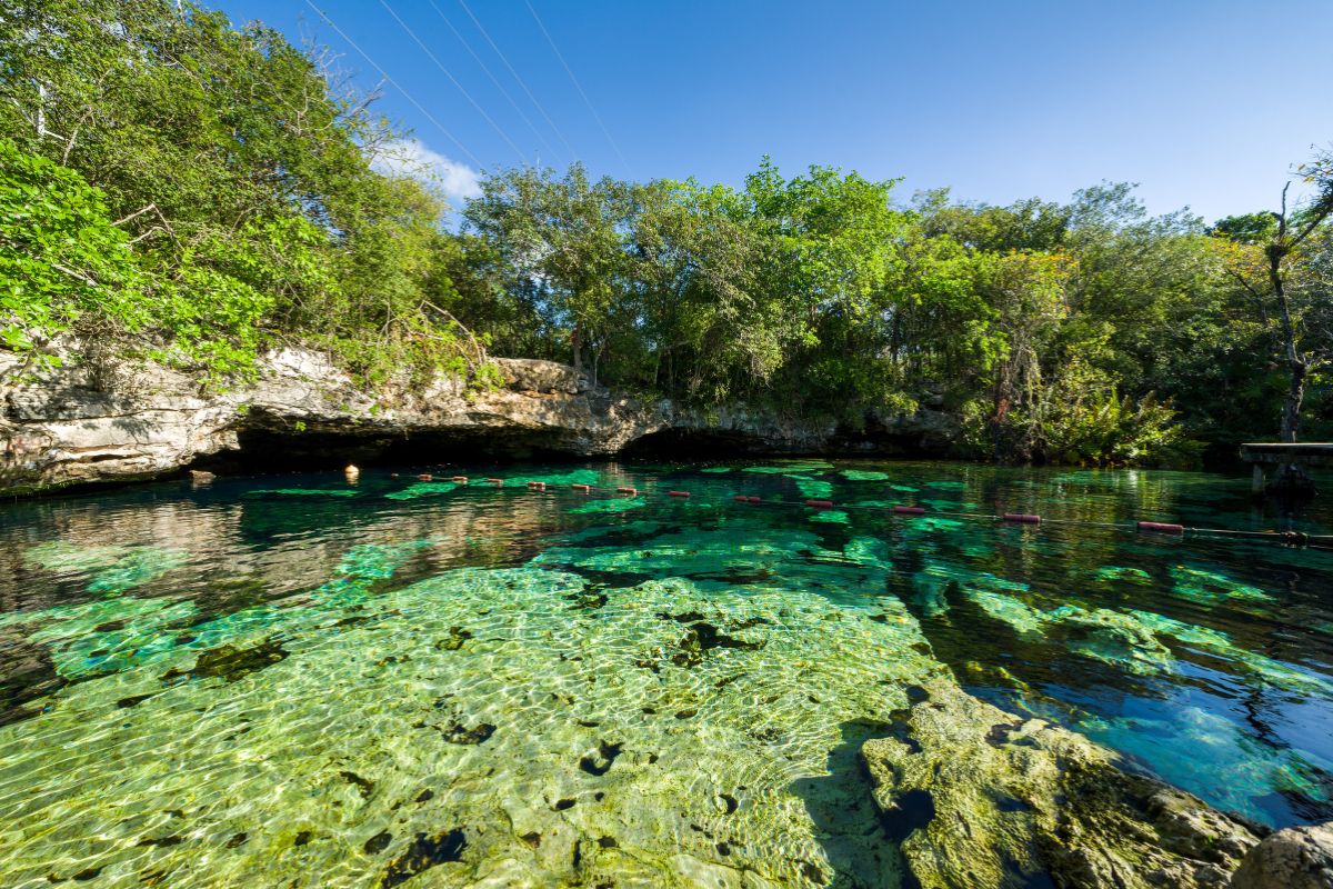 A tropical cenote in the Riviera Maya in Mexico