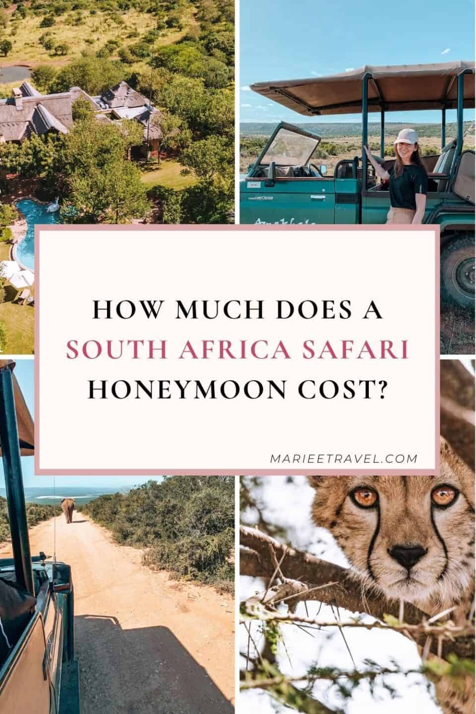 How Much Does a South Africa Safari Honeymoon Cost? | Pinterest Pin