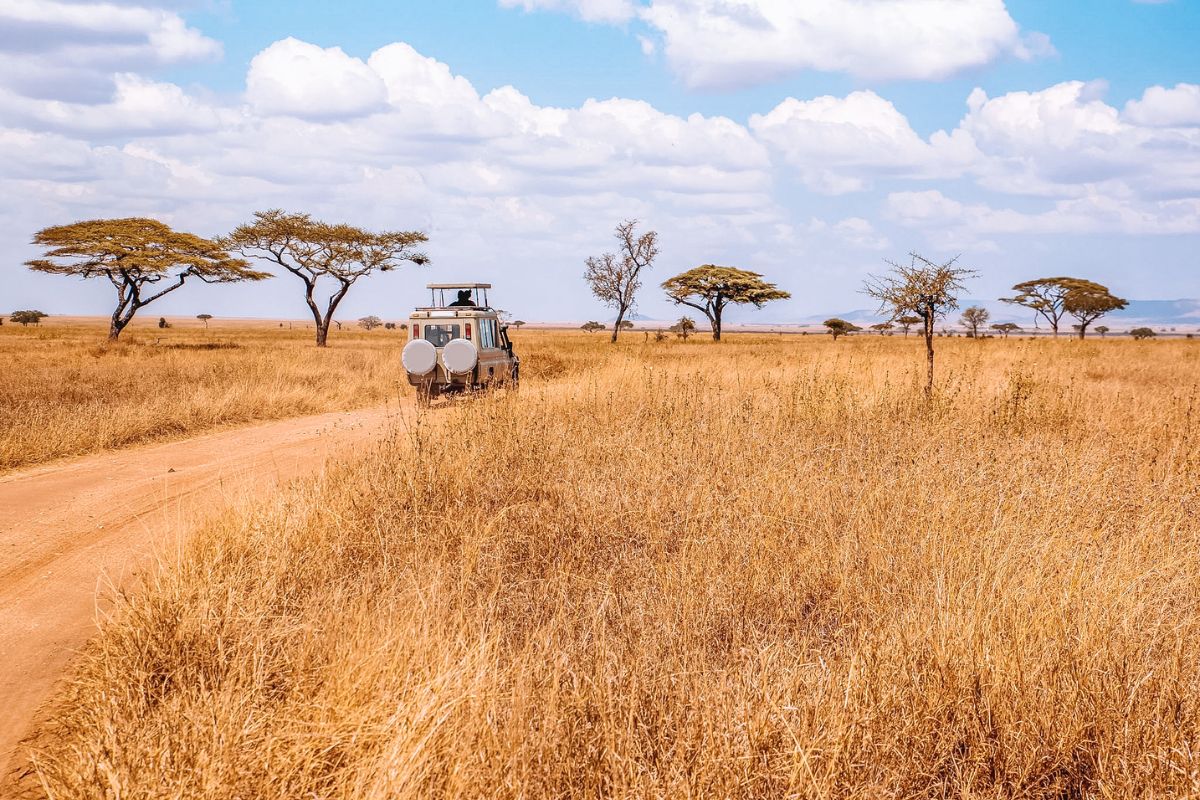 A safari jeep in the vast wilderness of the Serengeti in Tanzania