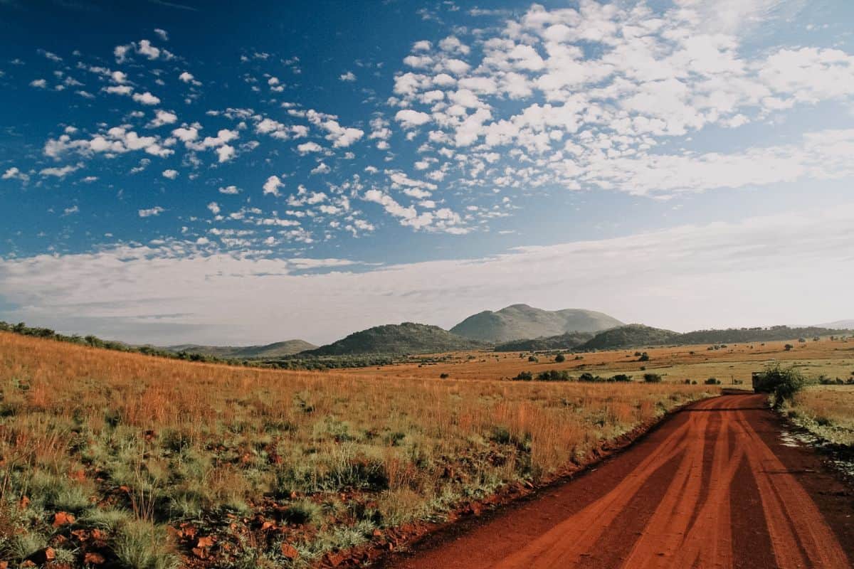 A dusty red road in South Africa's Pilanesberg National Park