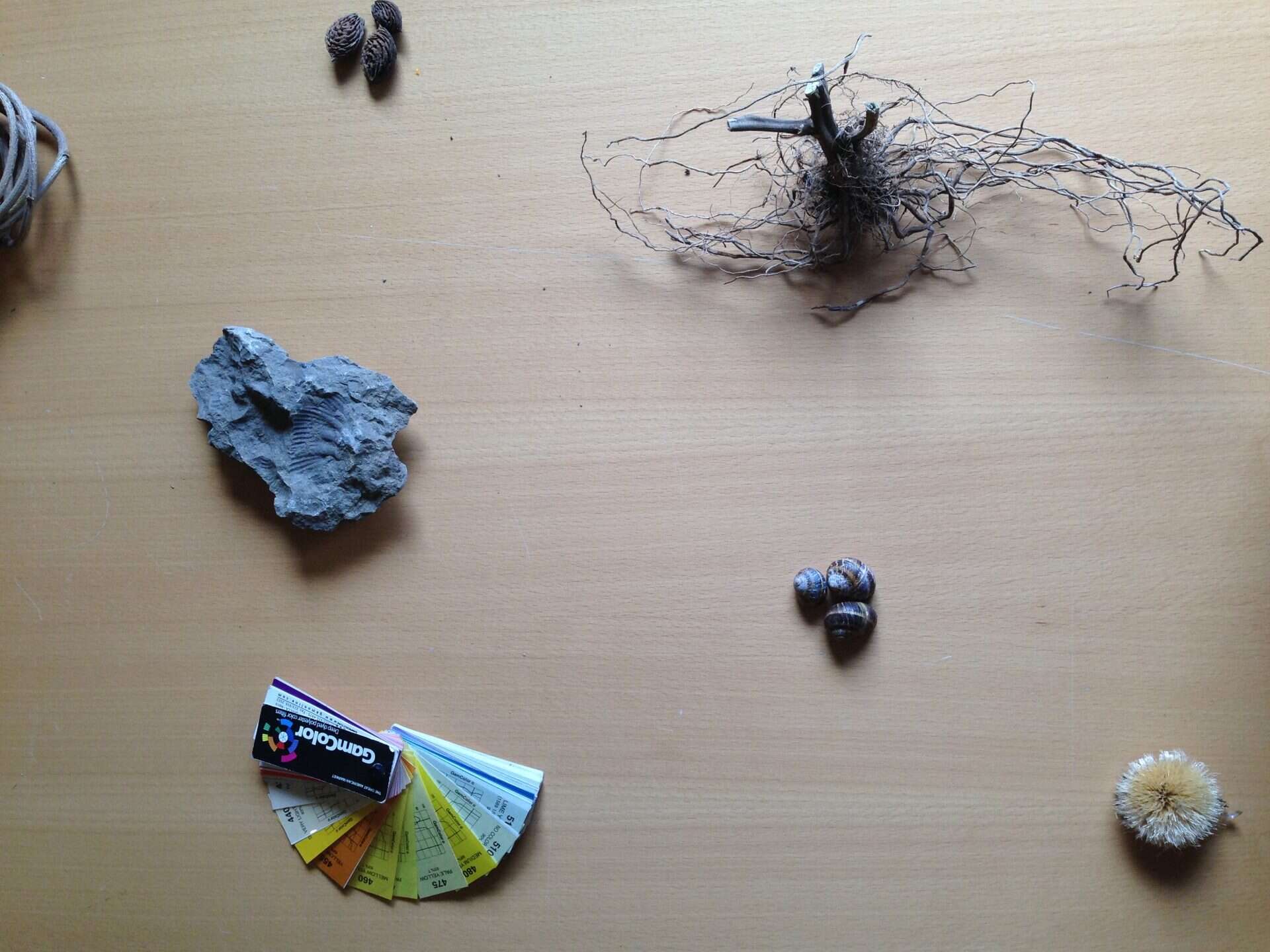 Pour une permaculture des groupes